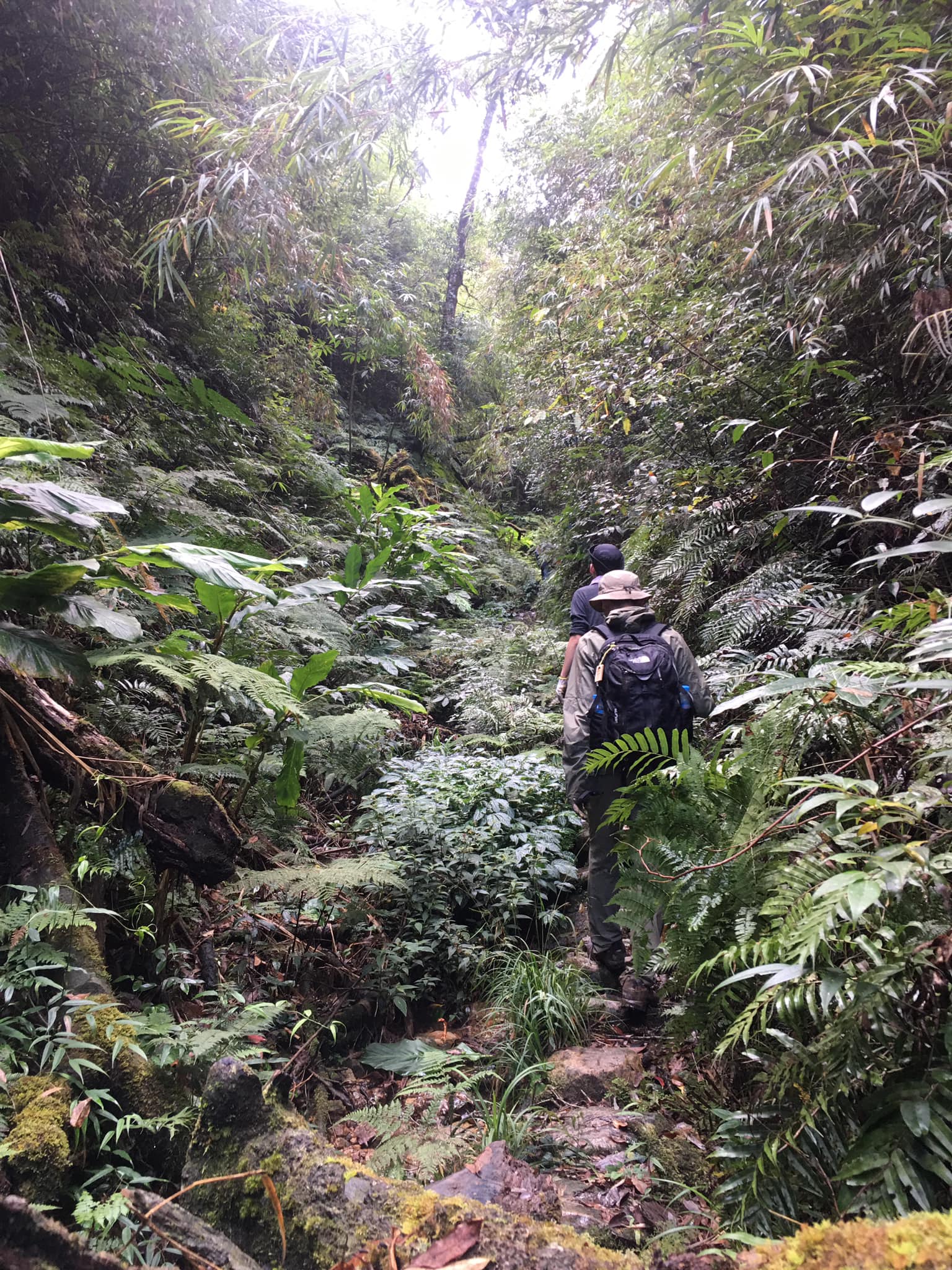 Tour of Trekking from Bac Ha to Thong Nguyen 11 Days